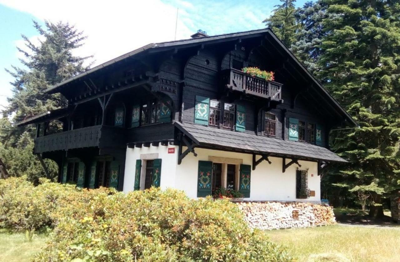 Mariánské Lázně Apartman Forstamt Glatzen Kladska מראה חיצוני תמונה